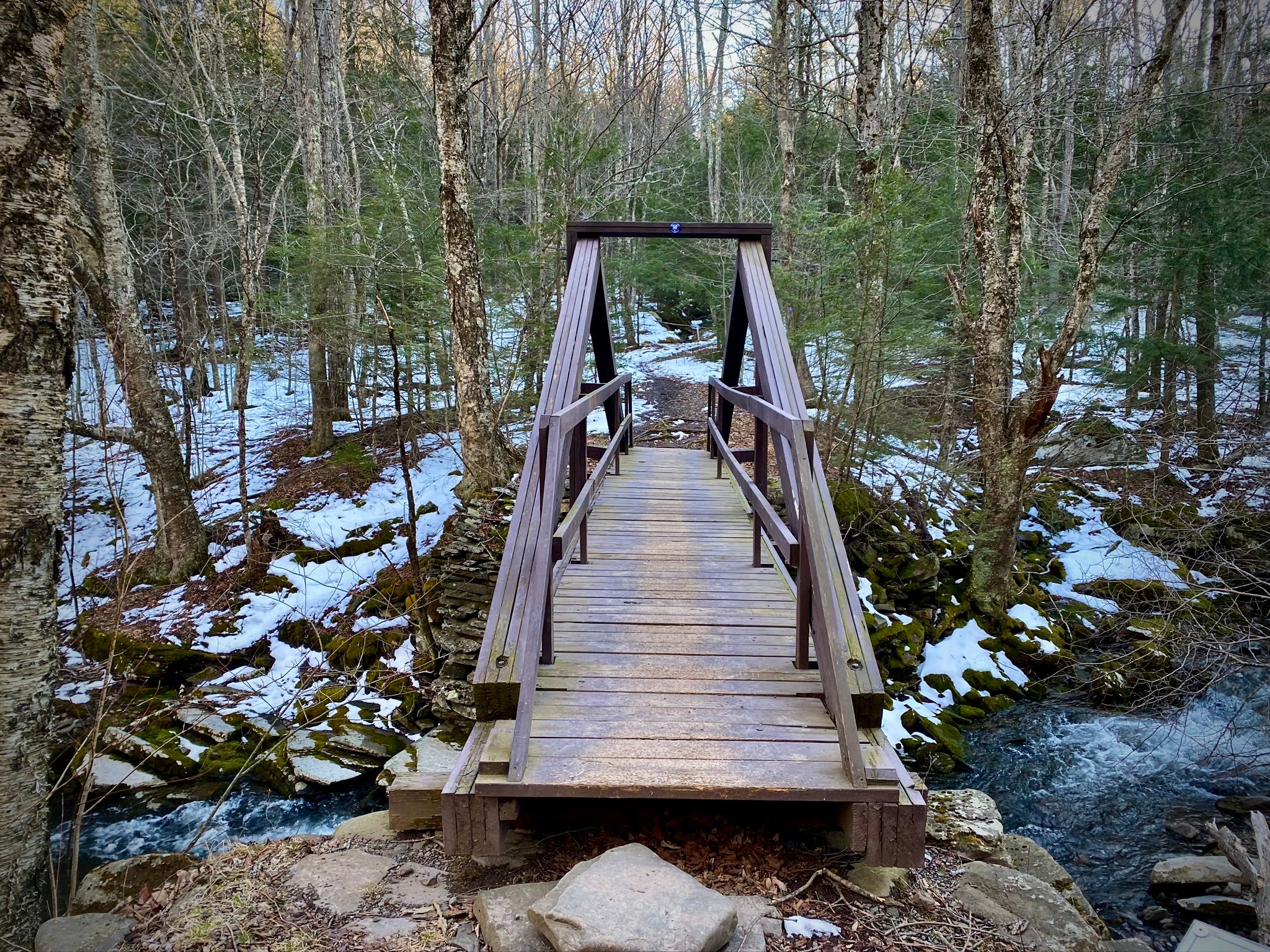 Winter Travelers: A Glenstead Tasting Experience